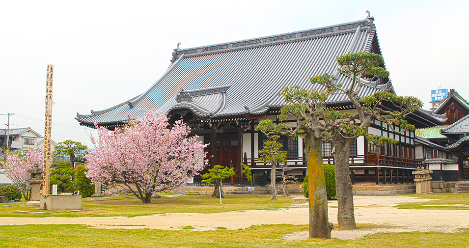 永代供養墓は妙政寺